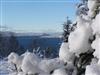 snowy Fraser Lake